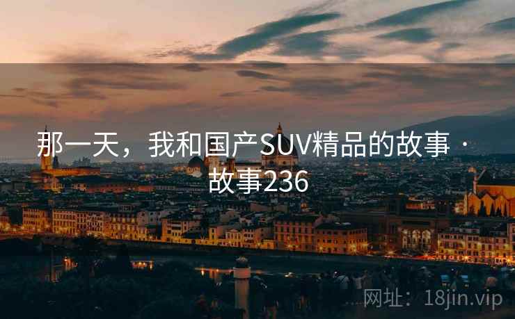 那一天,我和国产SUV精品的故事 · 故事236