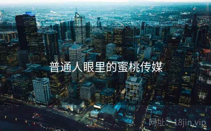 普通人眼里的蜜桃传媒