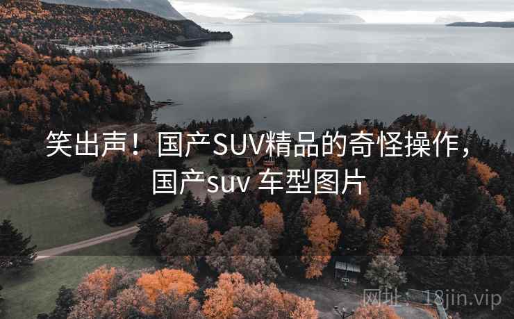 笑出声!国产SUV精品的奇怪操作,国产suv 车型图片 笑出声!国产SUV精品的奇怪操作,国产suv 车型图片